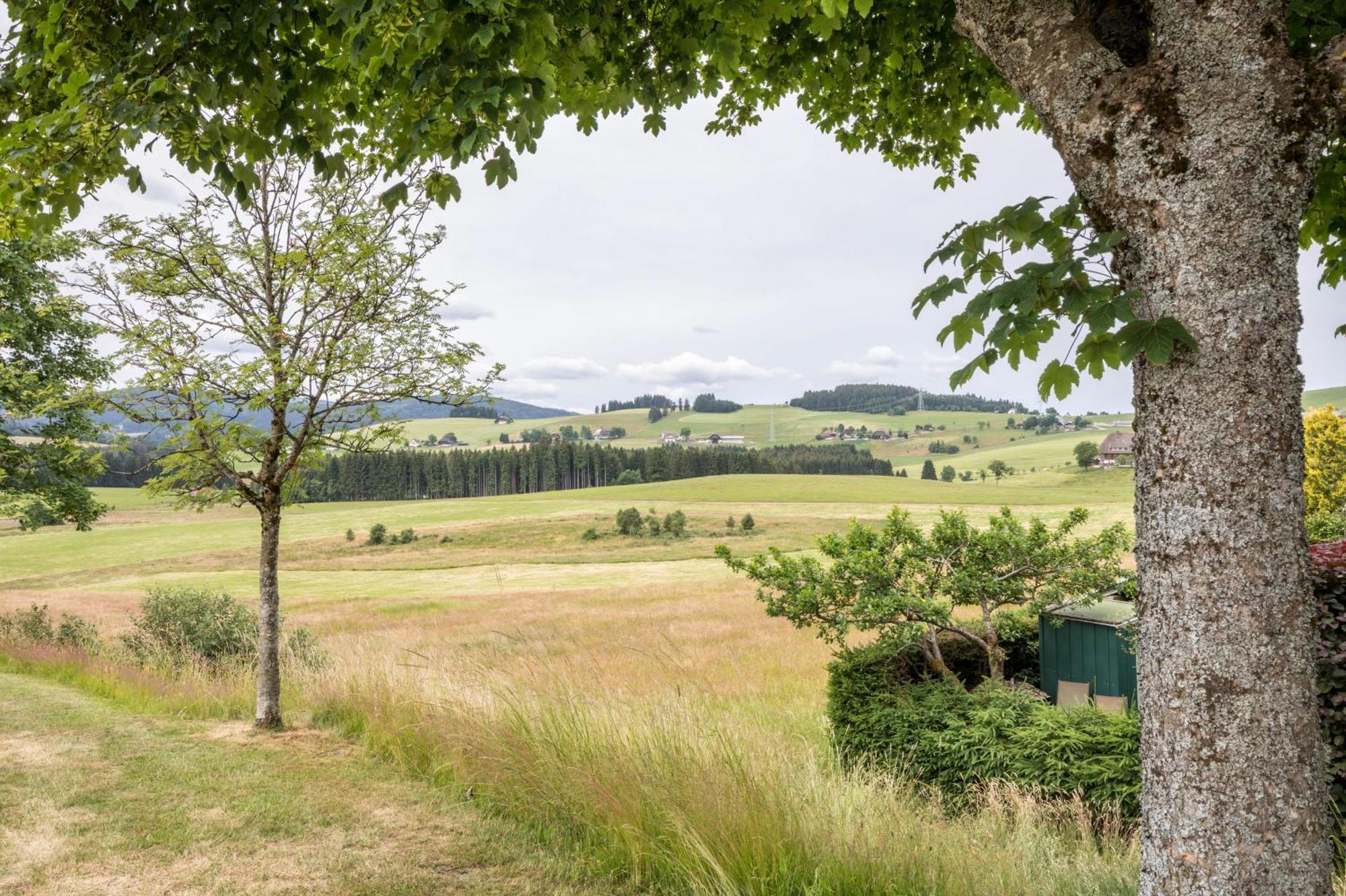 Weitblick Appartement Breitnau Buitenkant foto